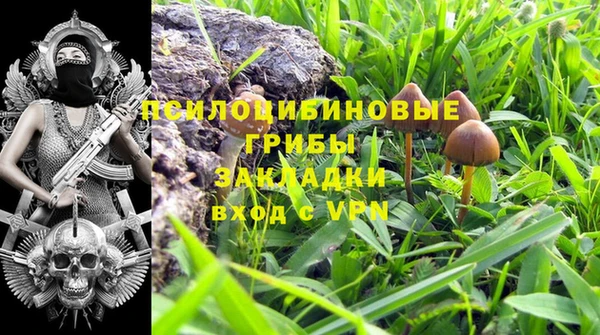 МДПВ Волосово