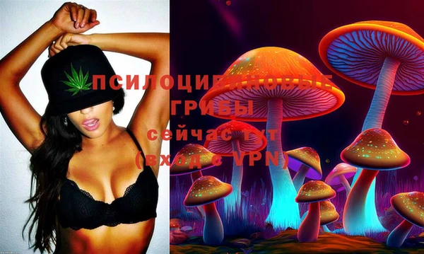 стафф Волоколамск