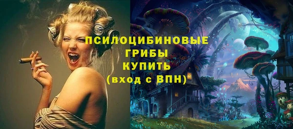 mdpv Володарск