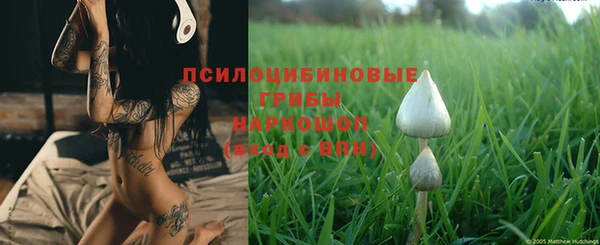 стафф Волоколамск
