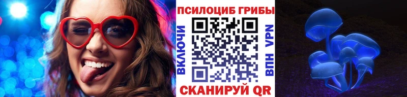 продажа наркотиков  Новоржев  Псилоцибиновые грибы Psilocybe 