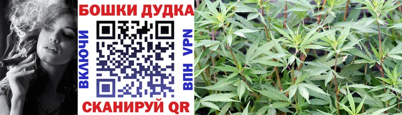 Бошки Шишки SATIVA & INDICA  купить наркотики сайты  кракен маркетплейс  Новоржев 